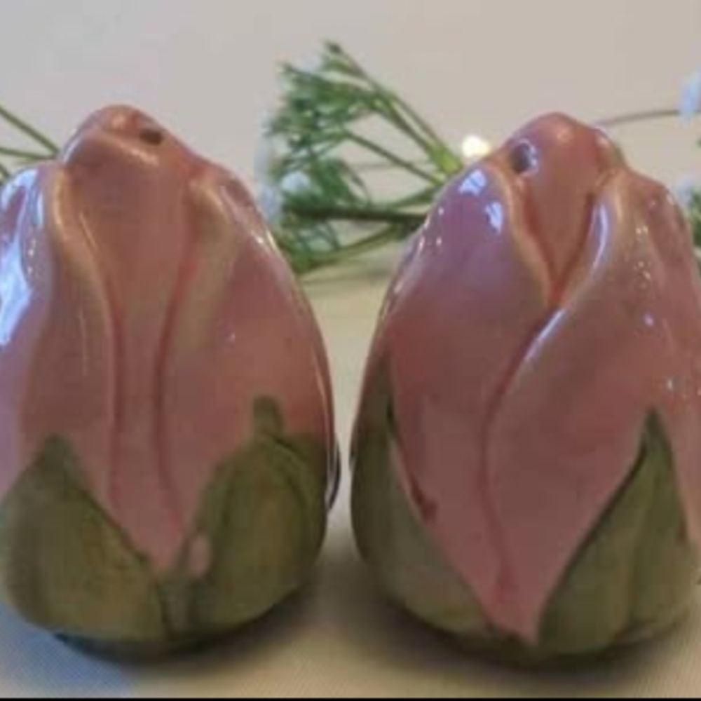 Franciscan Ware "Desert Rose" Rosebud Salt/Pepper Set USA Handpainted